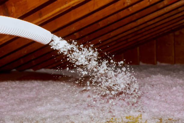 Best Geographic-Specific Insulation Services in Richmond, TX