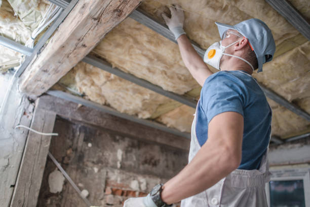 Best Residential Insulation in Richmond, TX