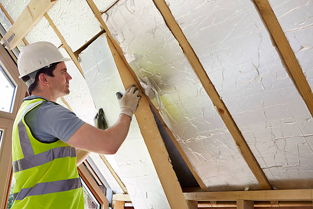 Best Eco-Friendly Insulation in Richmond, TX