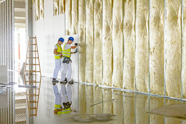 Professional Insulation Contractor in Richmond, TX